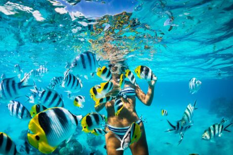 Snorkel Isla Catalina - Tours / Excursiones - Stay Happy RD